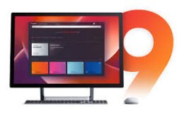 AnyDesk Business (for per user)