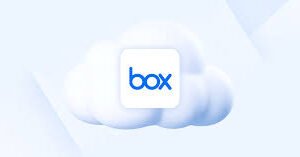 Box Cloud Storage (for per user)
