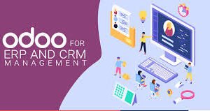 Odoo (ERP/CRM) (for per user)