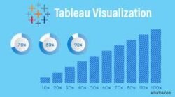 Tableau (Data Visualization) (for per user)