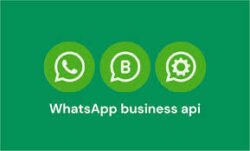WhatsApp Business API (for per user)