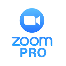 Zoom Pro (for per user)