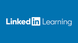 LinkedIn learning pro for per user